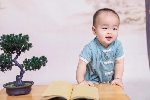 鹰潭可爱的企鹅宝宝